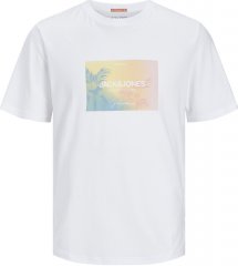 Jack & Jones JORARUBA Sunset Branding T-shirt White