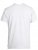 D555 Jenson T-shirt Grey - Marškinėliai - Marškinėliai - 2XL-14XL