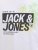  Jack & Jones Jaxon Crew Neck T-Shirt White - Marškinėliai - Marškinėliai - 2XL-14XL