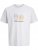 Jack & Jones Calma Crew Neck T-Shirt Gray Dawn - Marškinėliai - Marškinėliai - 2XL-14XL