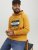 Jack & Jones Codyy Hoodie Yellow - Megztiniai ir džemperiai - Megztiniai ir Džemperiai - 2XL-14XL