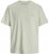 Jack & Jones Almeria Back Print T-Shirt Light Green - Marškinėliai - Marškinėliai - 2XL-14XL