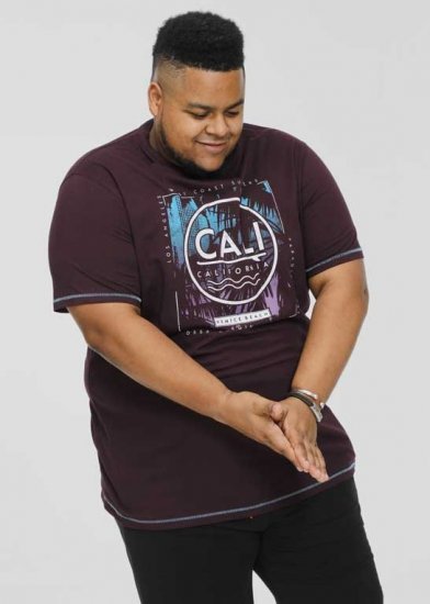 D555 NOVA Cali Surf Printed Crew Neck T-Shirt Plum - Marškinėliai - Marškinėliai - 2XL-14XL
