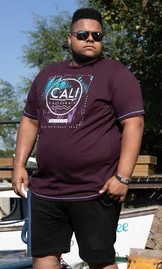 D555 NOVA Cali Surf Printed Crew Neck T-Shirt Plum - Marškinėliai - Marškinėliai - 2XL-14XL