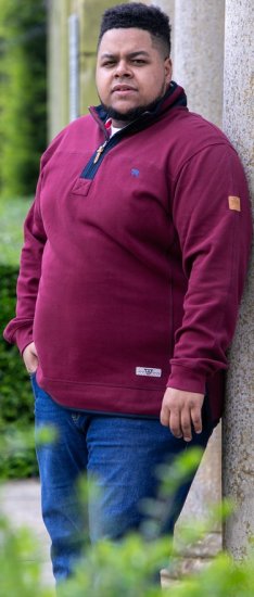 D555 HIRALDO Quarter Neck Pique Fleece Sweatshirt With Chest Embroidery Red - Megztiniai ir džemperiai - Megztiniai ir Džemperiai - 2XL-14XL