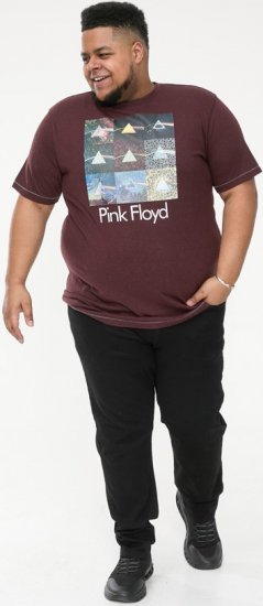 D555 DIVISION Official Pink Floyd Printed T-Shirt Burgundy - Marškinėliai - Marškinėliai - 2XL-14XL