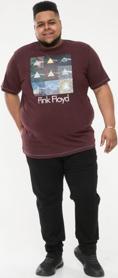 D555 DIVISION Official Pink Floyd Printed T-Shirt Burgundy - Marškinėliai - Marškinėliai - 2XL-14XL