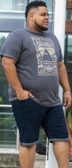 D555 HANLEY Official Pink Floyd Crew Neck T-Shirt Dark Grey TALL SIZES - VYRIŠKI DRABUŽIAI MT-6XLT - Drabužiai aukštiems vyrams