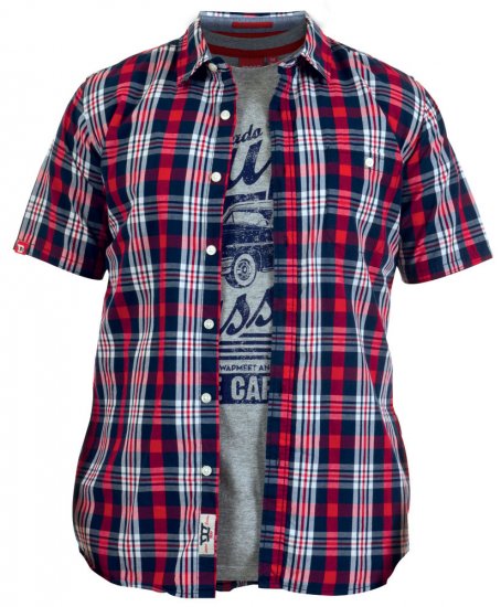 D555 Frankie Tee + Shirt - Marškiniai - Marškiniai - 2XL-8XL