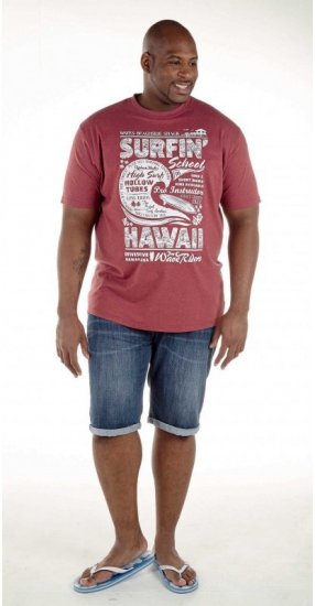 D555 Francis Burgundy T-shirt - Marškinėliai - Marškinėliai - 2XL-14XL