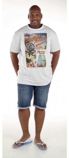 D555 Winthorp T-shirt White - Marškinėliai - Marškinėliai - 2XL-14XL