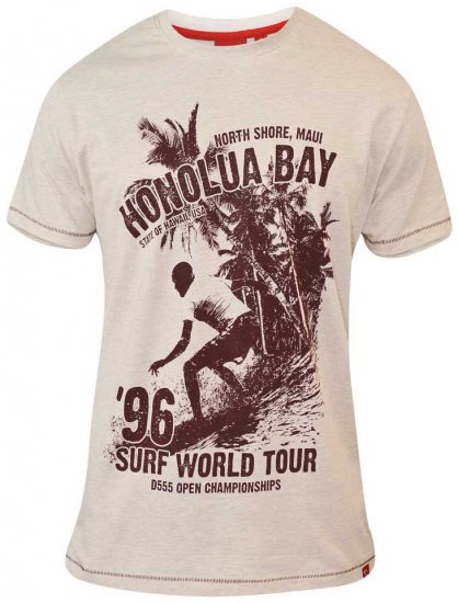 D555 CLAYTON Honolua Bay T-shirt White Marl - Marškinėliai - Marškinėliai - 2XL-14XL