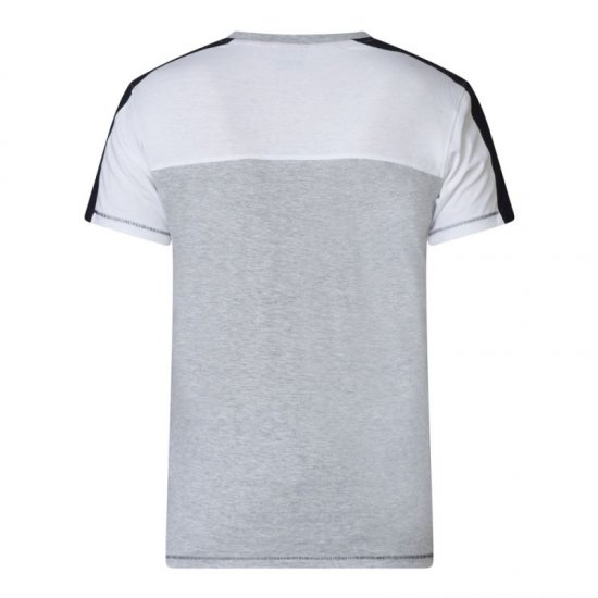D555 Alvester T-shirt Grey - Marškinėliai - Marškinėliai - 2XL-14XL