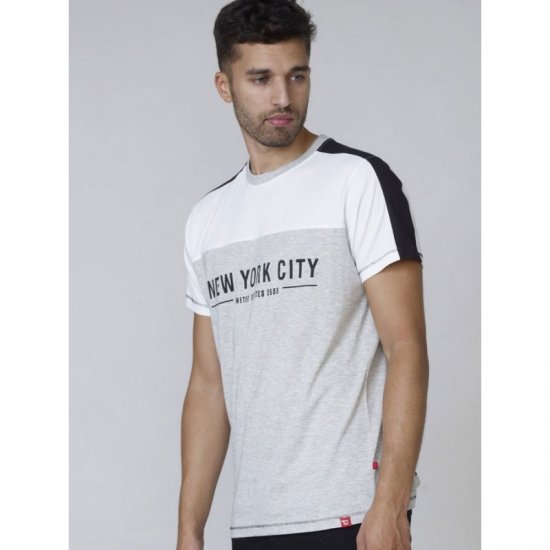 D555 Alvester T-shirt Grey - Marškinėliai - Marškinėliai - 2XL-14XL