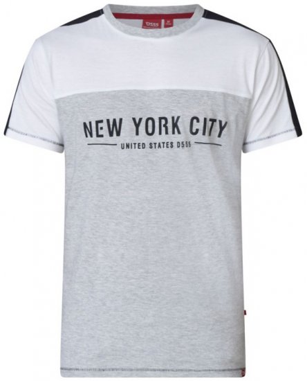 D555 Alvester T-shirt Grey - Marškinėliai - Marškinėliai - 2XL-14XL