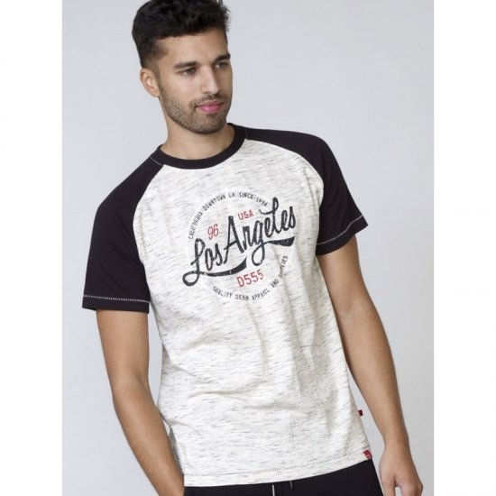 D555 Judson T-shirt Grey - Marškinėliai - Marškinėliai - 2XL-14XL