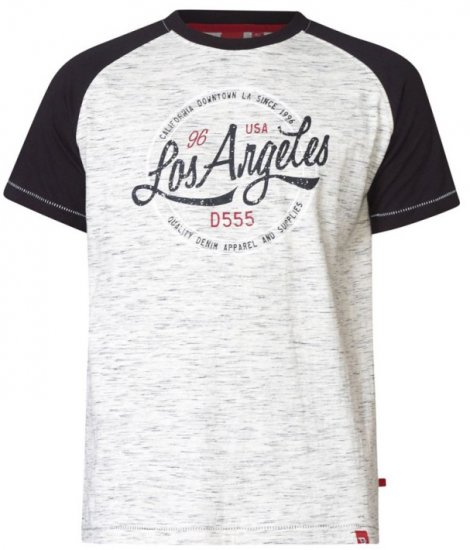 D555 Judson T-shirt Grey - Marškinėliai - Marškinėliai - 2XL-14XL