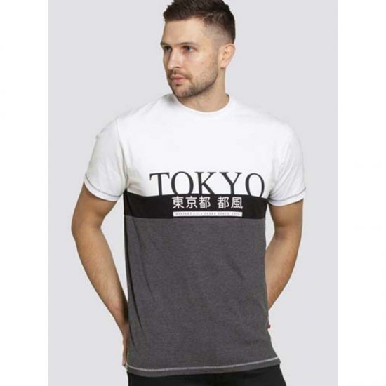 D555 Morris T-shirt Charcoal - Marškinėliai - Marškinėliai - 2XL-14XL