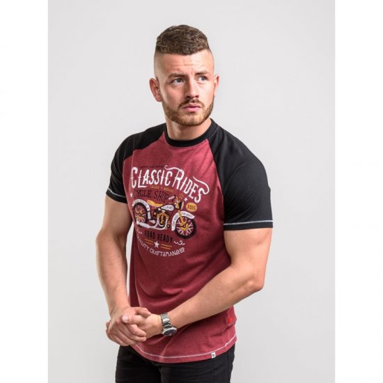 D555 Evans T-shirt Burgundy - Marškinėliai - Marškinėliai - 2XL-14XL