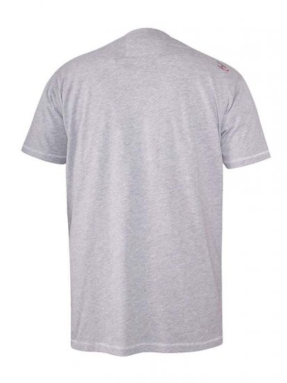 D555 Bathurst Custom Classics Motorbike Printed T-Shirt Grey - Marškinėliai - Marškinėliai - 2XL-14XL