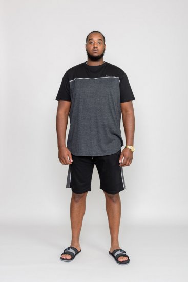 D555 NEWBURY T-Shirt - Marškinėliai - Marškinėliai - 2XL-14XL