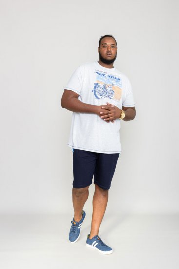 D555 LANGDON Printed T-Shirt - Marškinėliai - Marškinėliai - 2XL-14XL