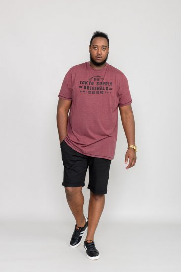 D555 LINTON Printed T-Shirt - Marškinėliai - Marškinėliai - 2XL-14XL