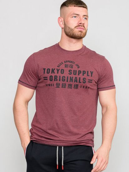 D555 LINTON Printed T-Shirt - Marškinėliai - Marškinėliai - 2XL-14XL