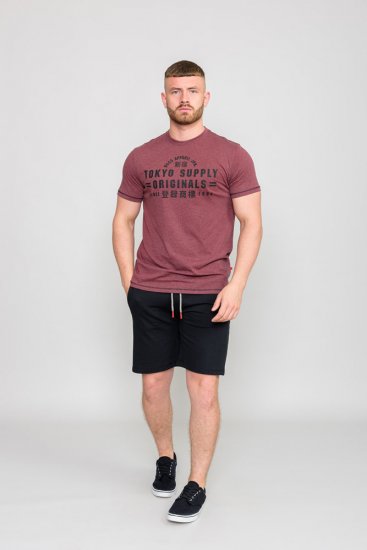 D555 LINTON Printed T-Shirt - Marškinėliai - Marškinėliai - 2XL-14XL