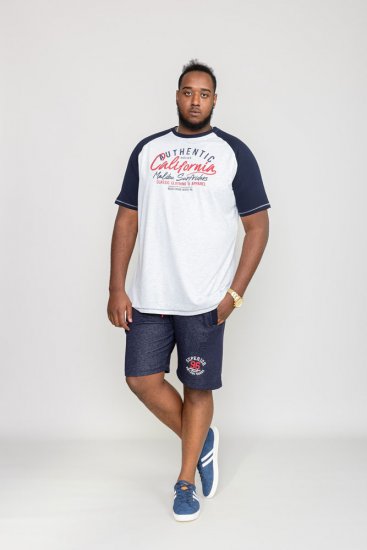 D555 SPARROW Printed T-Shirt - Marškinėliai - Marškinėliai - 2XL-14XL