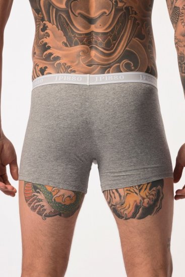 JP1880 Boxershorts Flexnamic OEKO-TEX Mid 2-Pack Grey/Off-White - Apatinis trikotažas ir plaukimo apranga - Apatinis trikotažas - 2XL-8XL