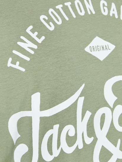 Jack & Jones JJERAFA TEE Light Green - Marškinėliai - Marškinėliai - 2XL-14XL