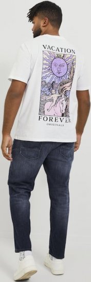 Jack & Jones GLENN FOX GE 224 Jeans Blue Denim - Džinsai ir kelnės - Džinsai ir Kelnės - W40-W70