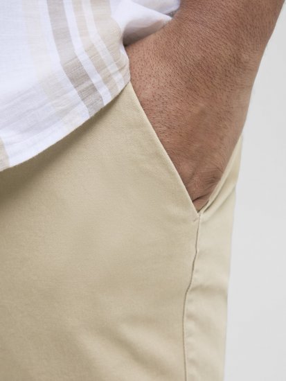 Jack & Jones Dave Chino Shorts Beige - Šortai - Šortai - W40-W60