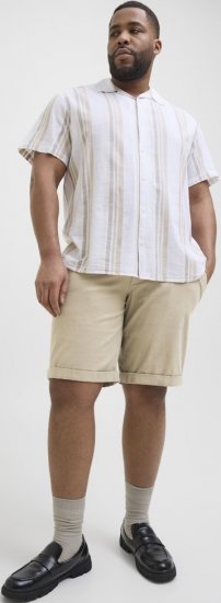 Jack & Jones Dave Chino Shorts Beige - Šortai - Šortai - W40-W60