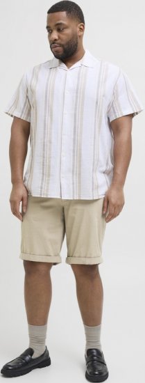 Jack & Jones Dave Chino Shorts Beige - Šortai - Šortai - W40-W60