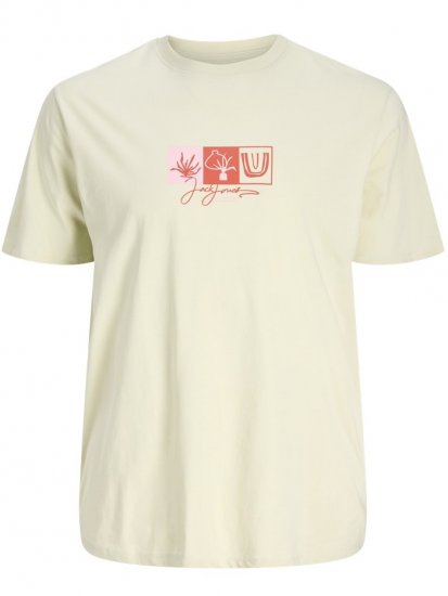 Jack & Jones Canggu Crew Neck T-Shirt Celadon Tint - Marškinėliai - Marškinėliai - 2XL-14XL