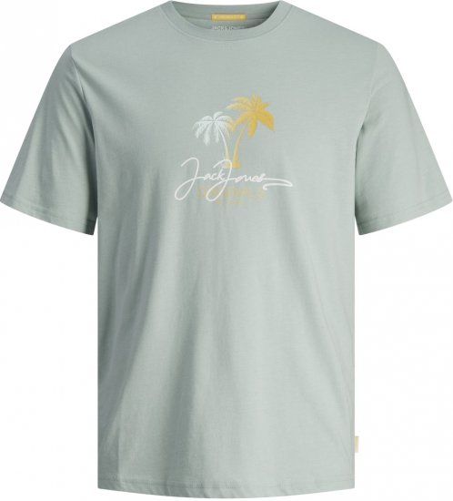 Jack & Jones JORCASEY T-Shirt Crew Neck Gray Mist - Marškinėliai - Marškinėliai - 2XL-14XL