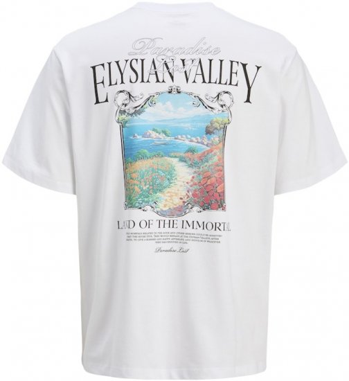 Jack & Jones Parallel Crew Neck T-Shirt Bright White - Marškinėliai - Marškinėliai - 2XL-14XL