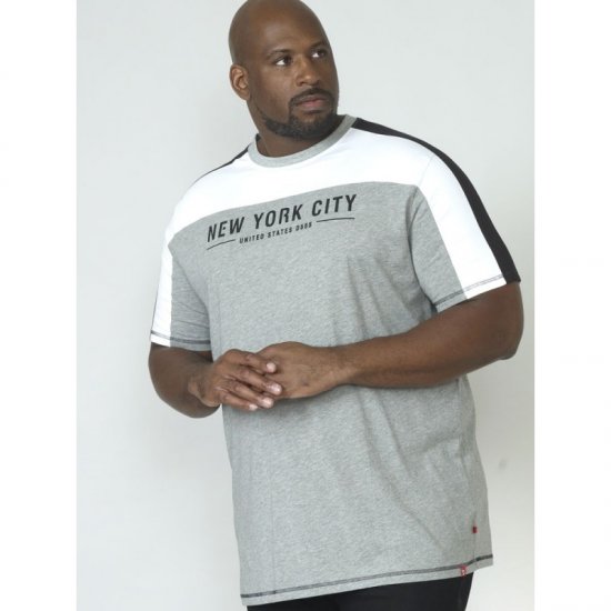 D555 Alvester T-shirt Grey - Marškinėliai - Marškinėliai - 2XL-14XL