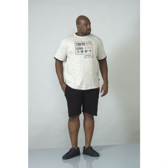 D555 Merlin T-shirt Grey - Marškinėliai - Marškinėliai - 2XL-14XL