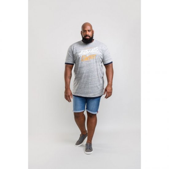 D555 Finn T-shirt Grey - Marškinėliai - Marškinėliai - 2XL-14XL