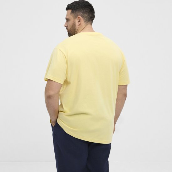North Latitude T-Shirt Printed Short Sleeve Yellow - Marškinėliai - Marškinėliai - 2XL-14XL