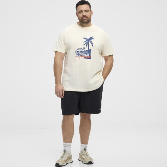 North Latitude T-Shirt Printed Off-White - Marškinėliai - Marškinėliai - 2XL-14XL