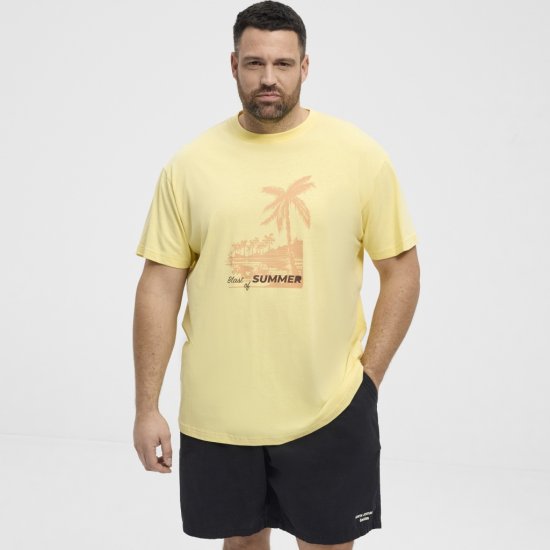 North Latitude T-Shirt Printed Yellow - Marškinėliai - Marškinėliai - 2XL-14XL