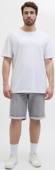 Jack & Jones Rick Icon I.K. GE 063 Shorts Grey Denim - Šortai - Šortai - W40-W60