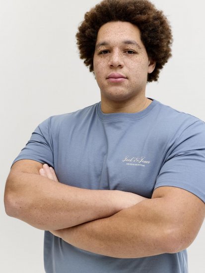 Jack & Jones Archive Marškinėliai Pilki - Marškinėliai - Marškinėliai - 2XL-14XL