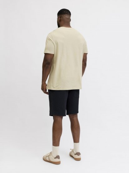 Jack & Jones Blaneo Short Sleeve T-shirt Beige - Marškinėliai - Marškinėliai - 2XL-14XL