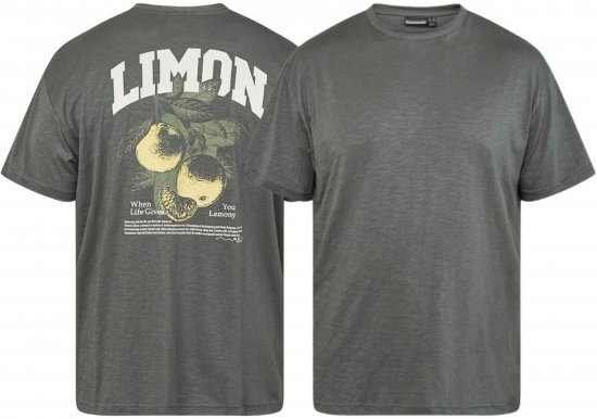 North Latitude 61317 Marškinėliai Slub Su Spauda Ant Nugaros Tamsi Dulkėta Žalia - Marškinėliai - Marškinėliai - 2XL-14XL